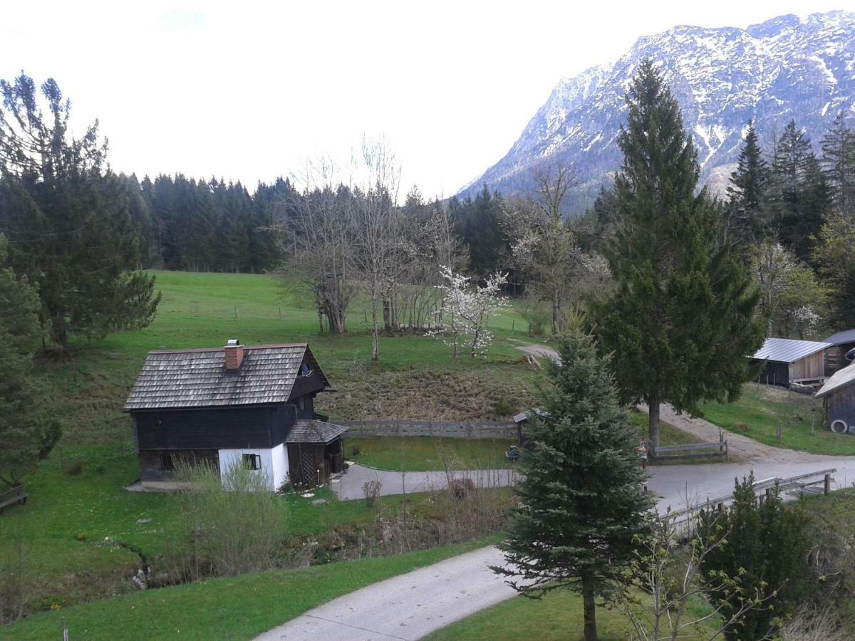 Ferienhaus "Badl" Villa Bad Goisern Bagian luar foto